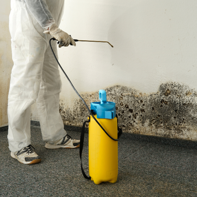 Mold Remedation